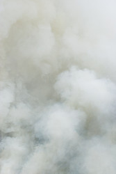 Similar image 22201251