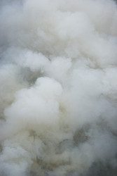 Similar image 22202400