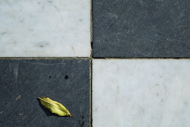 Similar image 22202407