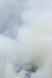 Similar image 22202414