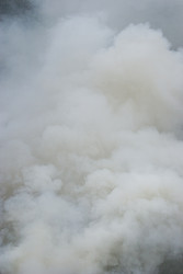 Similar image 22202422