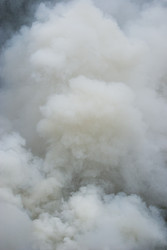 Similar image 22202636