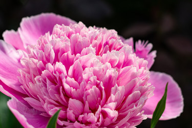 Similar image 22202175