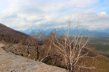 Similar image 22203202