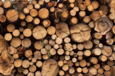 Similar image 22202650