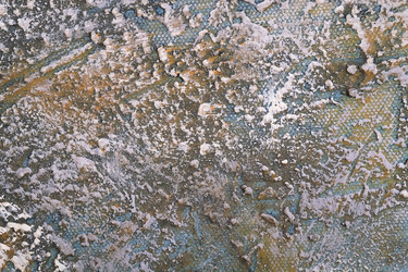 Similar image 22202668