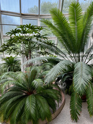 Similar image 22202179