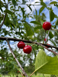 Similar image 22202183