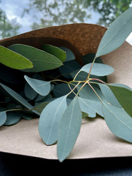 Similar image 22202184