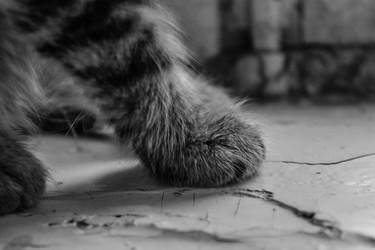 Similar image 22201283