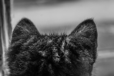 Similar image 22201284