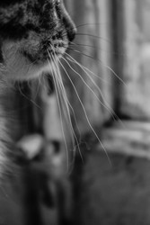 Similar image 22201285