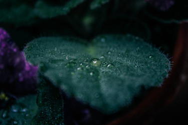 Similar image 22201286