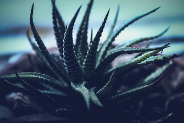 Similar image 22201287