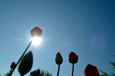 Similar image 22204947