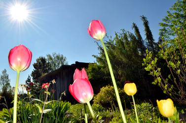 Similar image 22204948