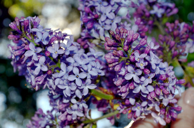 Similar image 22204949