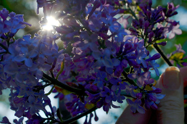 Similar image 22204950