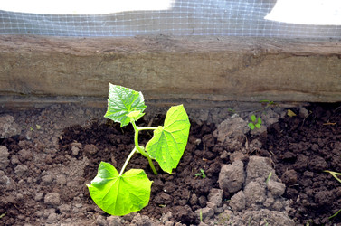 Similar image 22205199