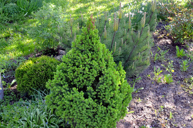 Similar image 22205200