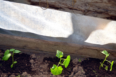 Similar image 22205201