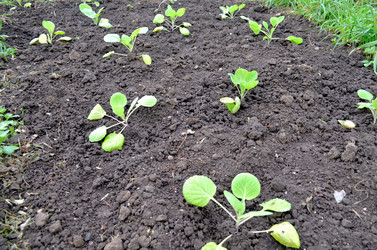 Similar image 22205203