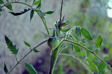 Similar image 22205204