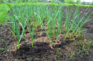 Similar image 22205205