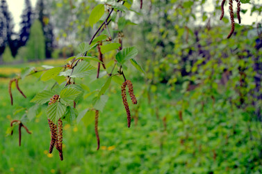 Similar image 22205206