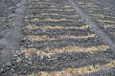 Similar image 22205207