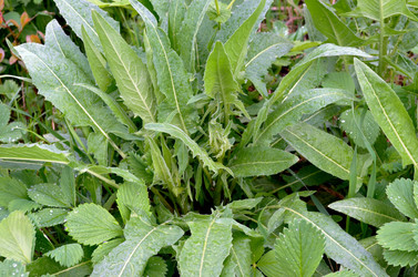 Similar image 22205209