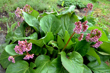 Similar image 22205210