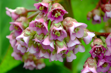 Similar image 22205211