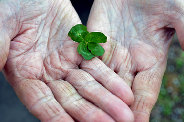 Similar image 22205212