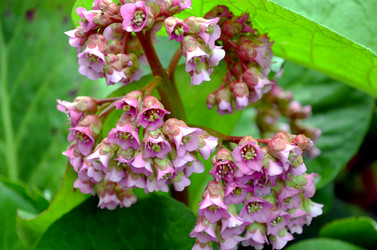 Similar image 22205213