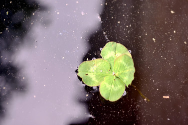 Similar image 22205214