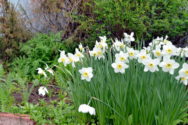 Similar image 22205216