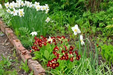 Similar image 22205217