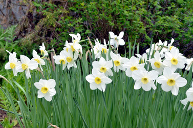 Similar image 22205219