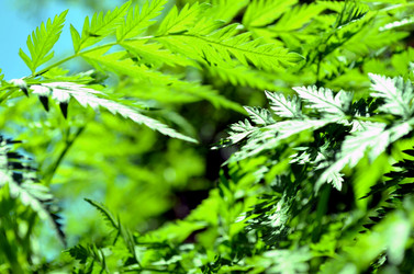 Similar image 22205225