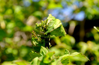 Similar image 22205226