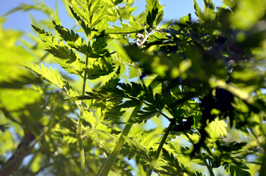 Similar image 22205227