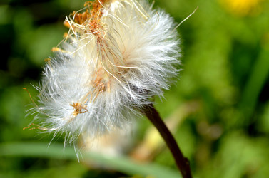 Similar image 22205230