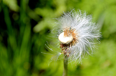 Similar image 22205231