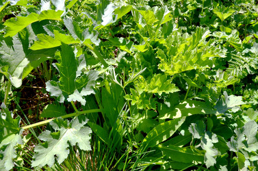 Similar image 22205232