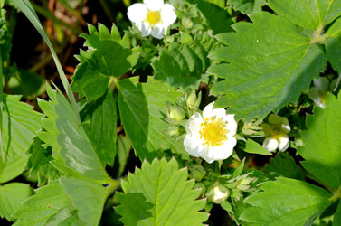 Similar image 22205233