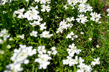 Similar image 22205234