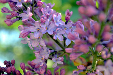 Similar image 22205236