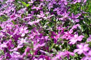 Similar image 22205237