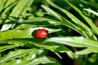 Similar image 22205238